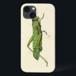 Bordered Print of Green Grasshopper iPhone 13 Case<br><div class="desc">This lime bordered print features a green grasshopper on a cream background. A Vision Studio original,  this would make a great gift for the insect or nature lover in your life!</div>