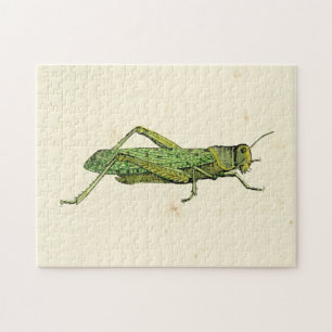Bordered Print of Green Grasshopper Jigsaw Puzzle