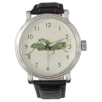 Bordered Print of Green Grasshopper