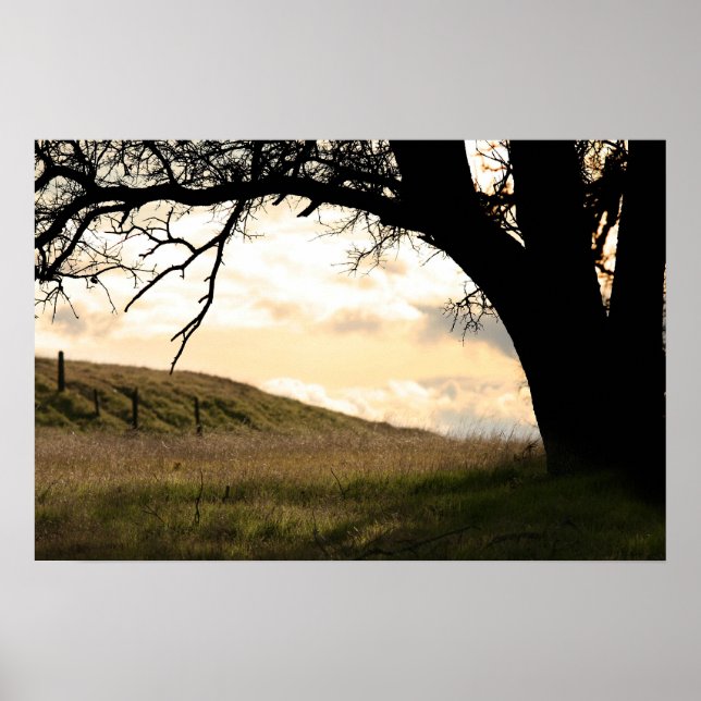 "Border's Dusk" Poster (Front)