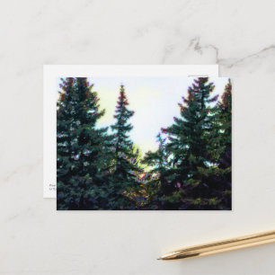 Boreal Forest Trees Canada Artsy Artistic Colourfu Postcard