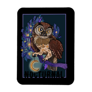 Boreal Night Tree Owl Noctural Magnet