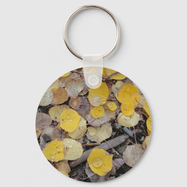 boreas pass aspens key ring (Front)