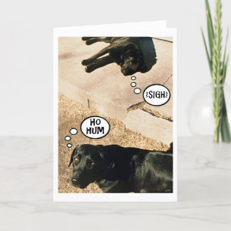 Bored doggies - We Miss You Card