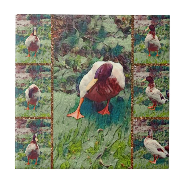 Bored Duck Photo Collage, Ceramic Tile (Front)