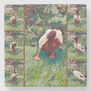 Bored Duck Photo Collage, Stone Coaster