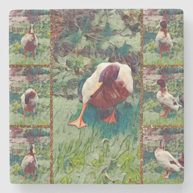 Bored Duck Photo Collage, Stone Coaster (Front)