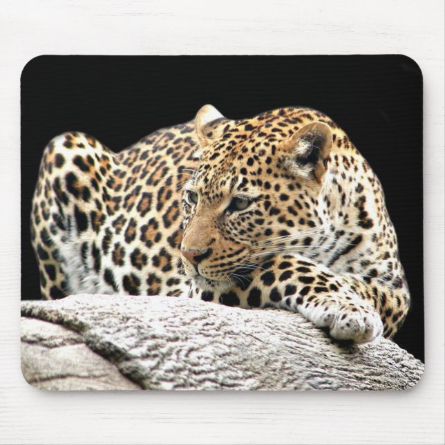 Bored leopard mousepad (Front)