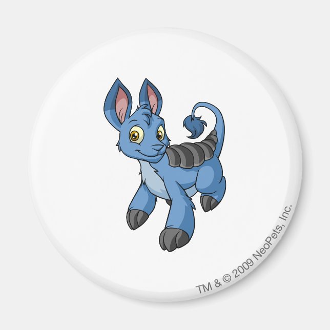 Bori Blue Magnet (Front)