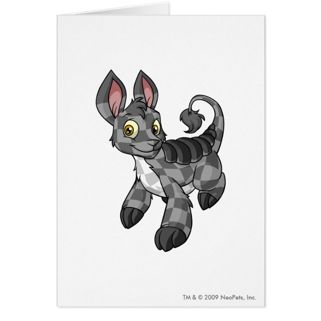 Bori Chequered (Front)