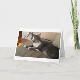 Boris the Cute Nubber Kitty Greeting Card