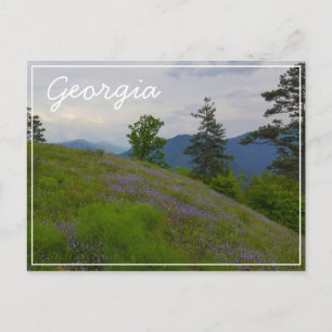 Borjomi-Kharagauli National Park Georgia Caucuses Postcard