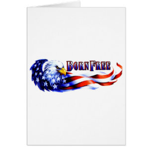 Born Free Bald Eagle And USA Flag