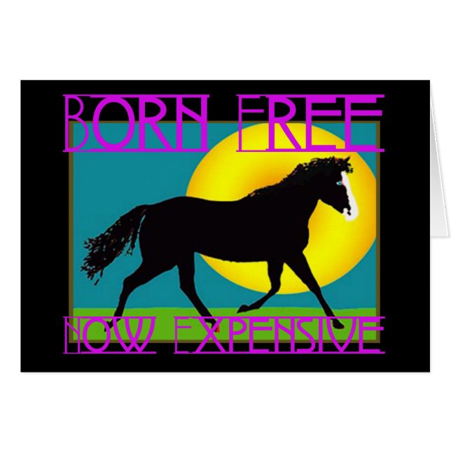 Born Free - Now Expensive (Front Horizontal)