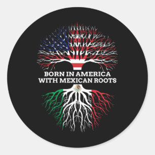 Born In America With Mexican Roots Classic Round Sticker