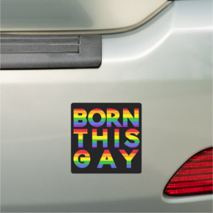 Born This Gay Bright Colourful Rainbow Pride Car Magnet
