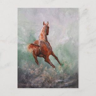 Born to Barrel Race Postcard
