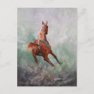 Born to Barrel Race Postcard