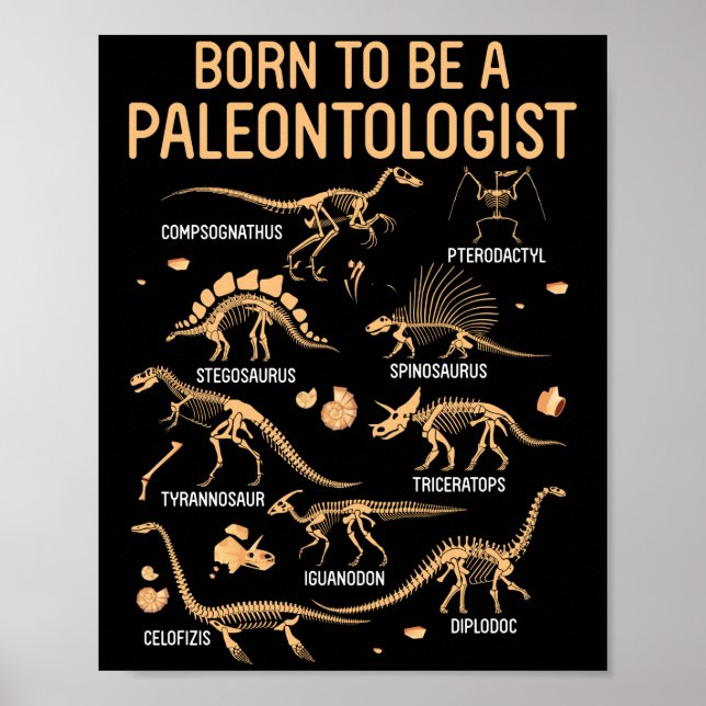 Born to be a PALEONTOLOGIST Skeleton Dinosaurs Poster (Front)