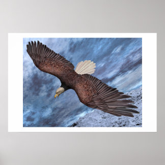 Born To Be Free Poster