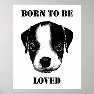 Born to be loved Illustration Poster