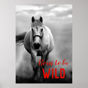 Born to be Wild Black & White Running Horse Poster