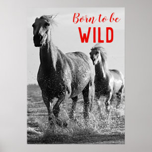 Born to be Wild Black & White Running Horses Poster