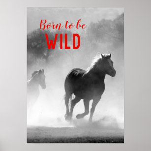 Born to be Wild Black & White Running Horses Poster