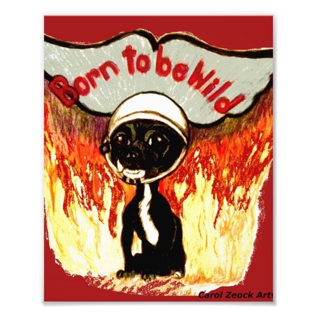 Born To Be Wild Chihuahua by Carol Zeock Photo Print (Front)