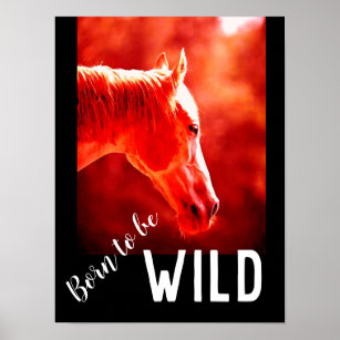 Born to be Wild Close-up Horse Poster