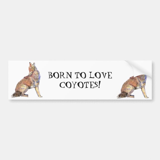 BORN TO LOVE COYOTES WILD ANIMAL QUOTE ART BUMPER STICKER (Front)
