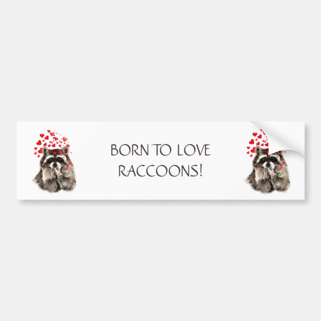 BORN TO LOVE RACCOONS FUNNY ANIMAL QUOTE BUMPER STICKER (Front)