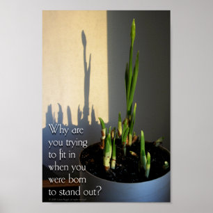 Born to Stand Out Poster