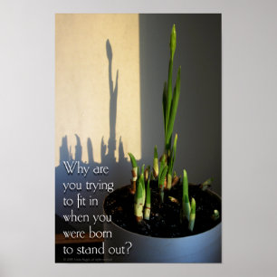 Born to Stand Out Poster