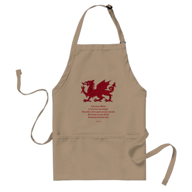 Born Welsh Poem with Dragon Standard Apron (Front)