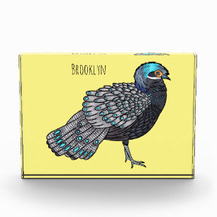 Bornean peacock-pheasant bird cartoon illustration photo block