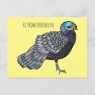 Bornean peacock-pheasant bird cartoon illustration postcard