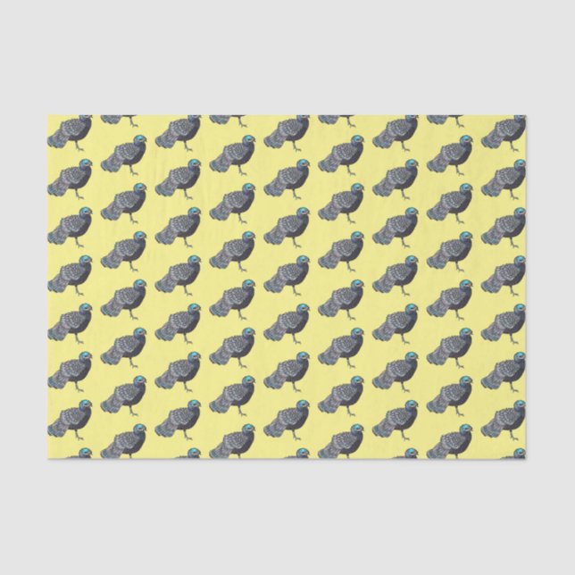 Bornean peacock-pheasant bird cartoon illustration tissue paper (Front)