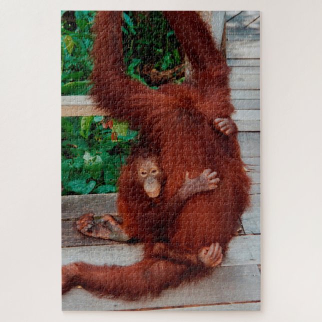 Borneo orangutan 1014-pc jigsaw puzzle (Vertical)