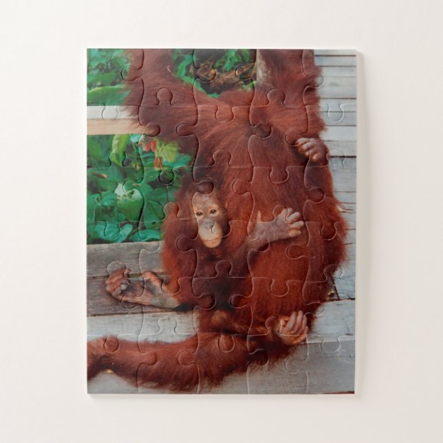 Borneo orangutan 30-pc jigsaw puzzle (Vertical)