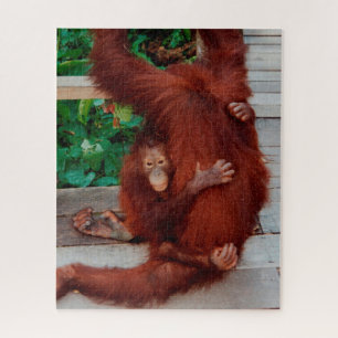 Borneo orangutan 520-pc jigsaw puzzle