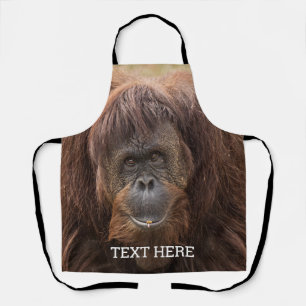 Borneo Orangutan Beautiful Photography Apron