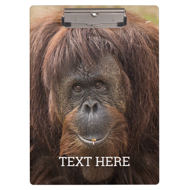 Borneo Orangutan Beautiful Photography Clipboard (Front)
