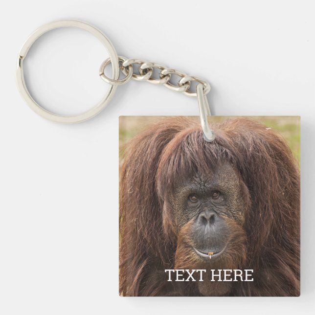 Borneo Orangutan Beautiful Photography Key Ring (Front)