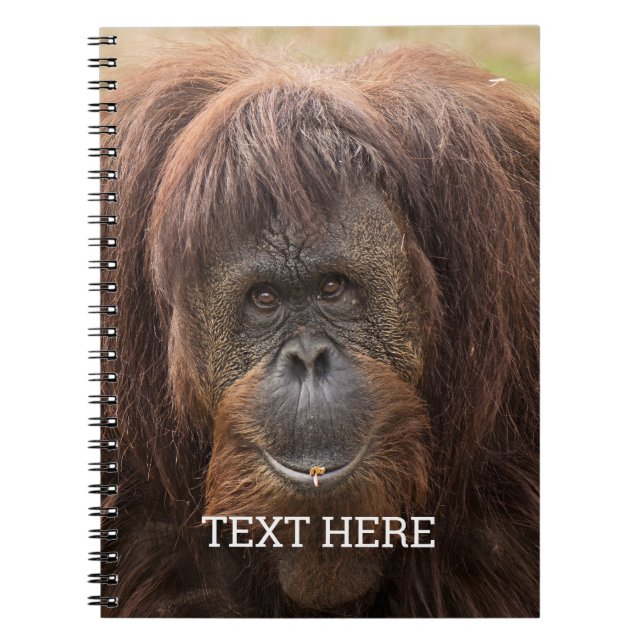 Borneo Orangutan Beautiful Photography Notebook (Front)