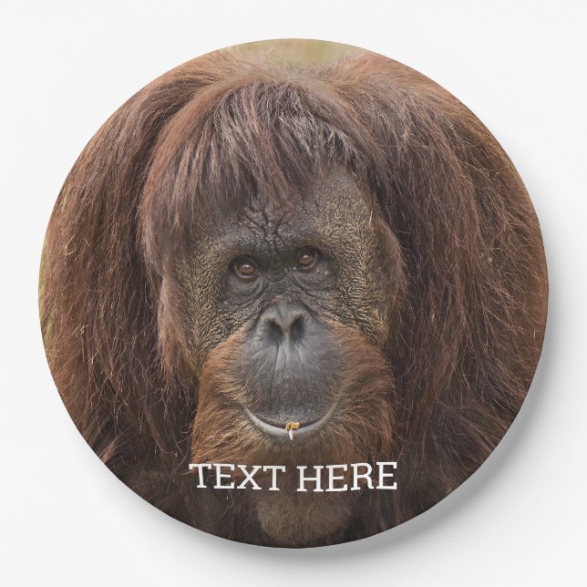 Borneo Orangutan Beautiful Photography Paper Plate (Front)