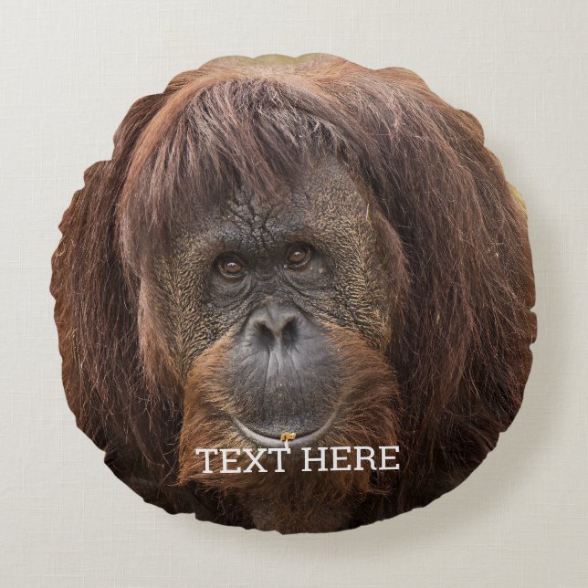 Borneo Orangutan Beautiful Photography Round Cushion (Front)