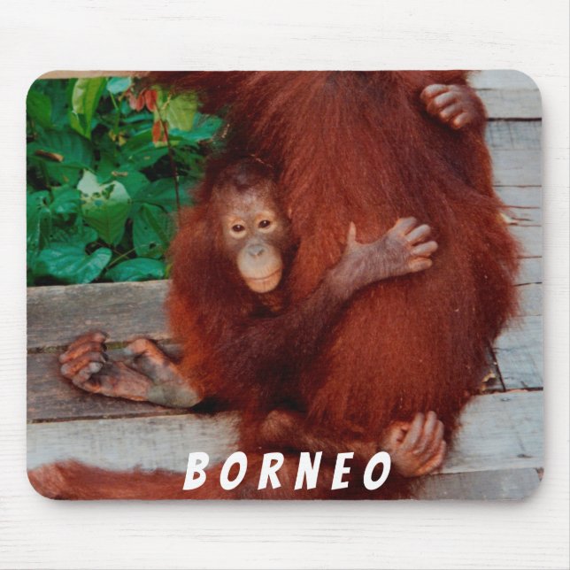 Borneo orangutan mouse pad (Front)