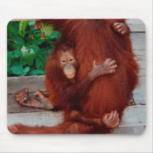 Borneo orangutan mouse pad