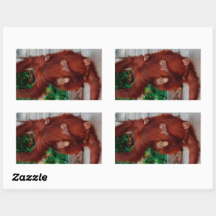 Borneo orangutan rectangular sticker